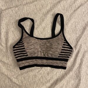 champion bra